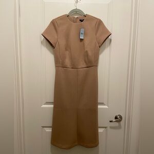NWT Ann Taylor MIDI dress